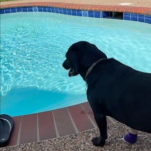 Meet your Posher, Teri